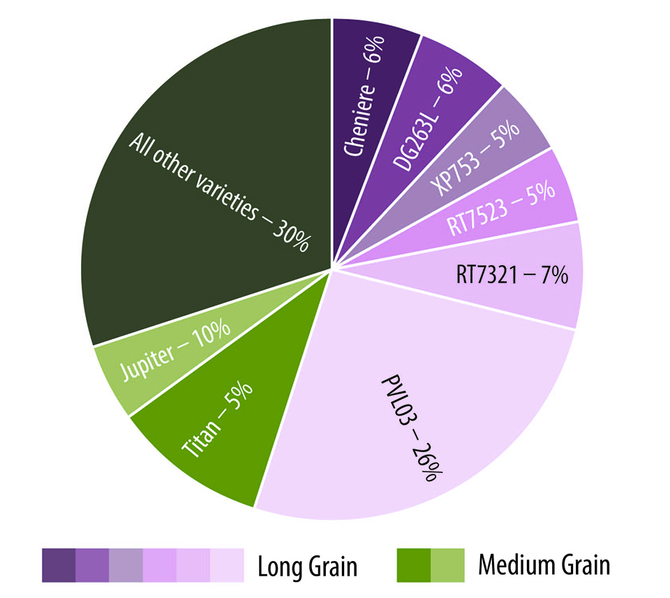 Rice pie chart.jpg thumbnail